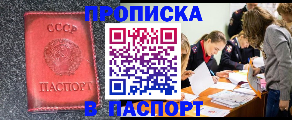 прописка для школы в Гатчине
